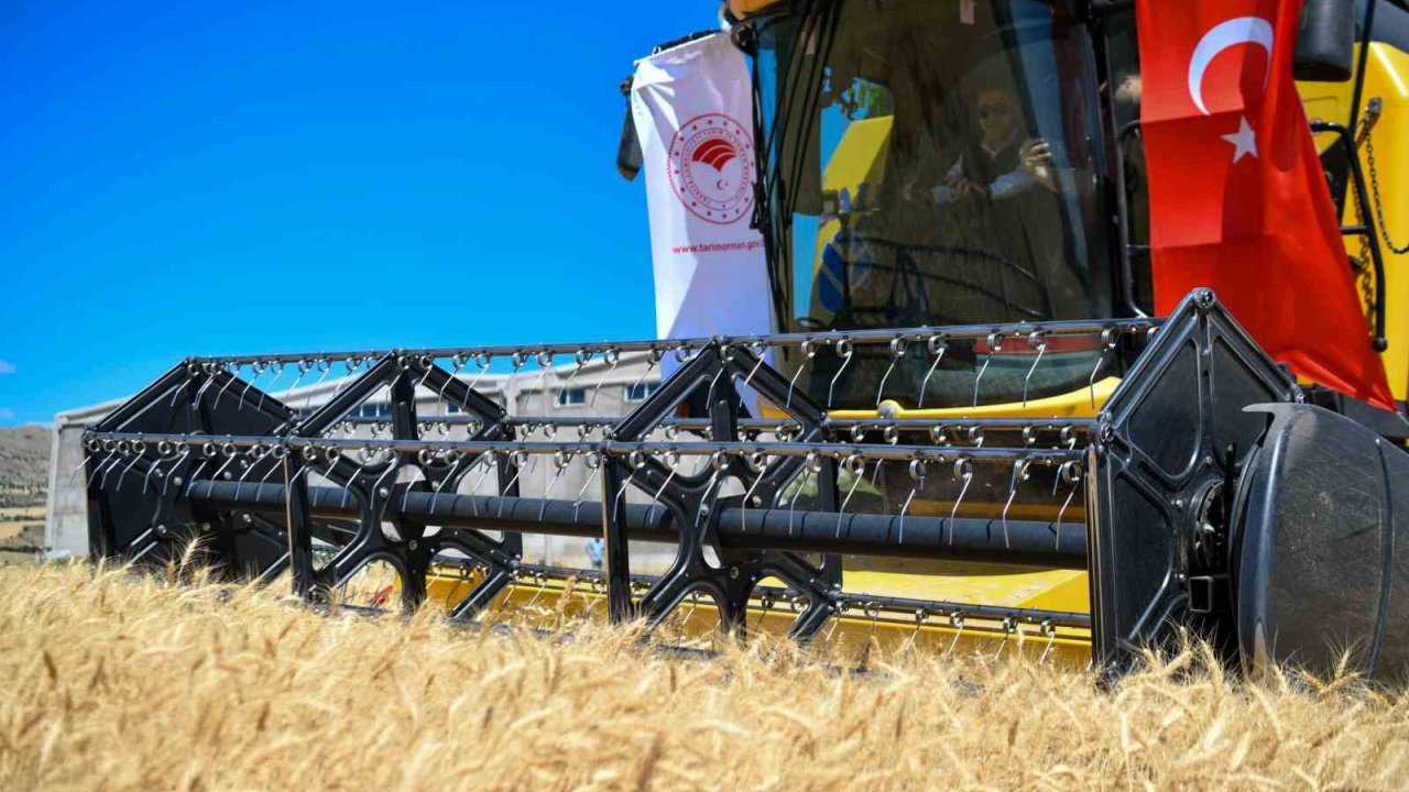 Tunceli Valisi Aygöl, Hasat Etkinliğine Katıldı