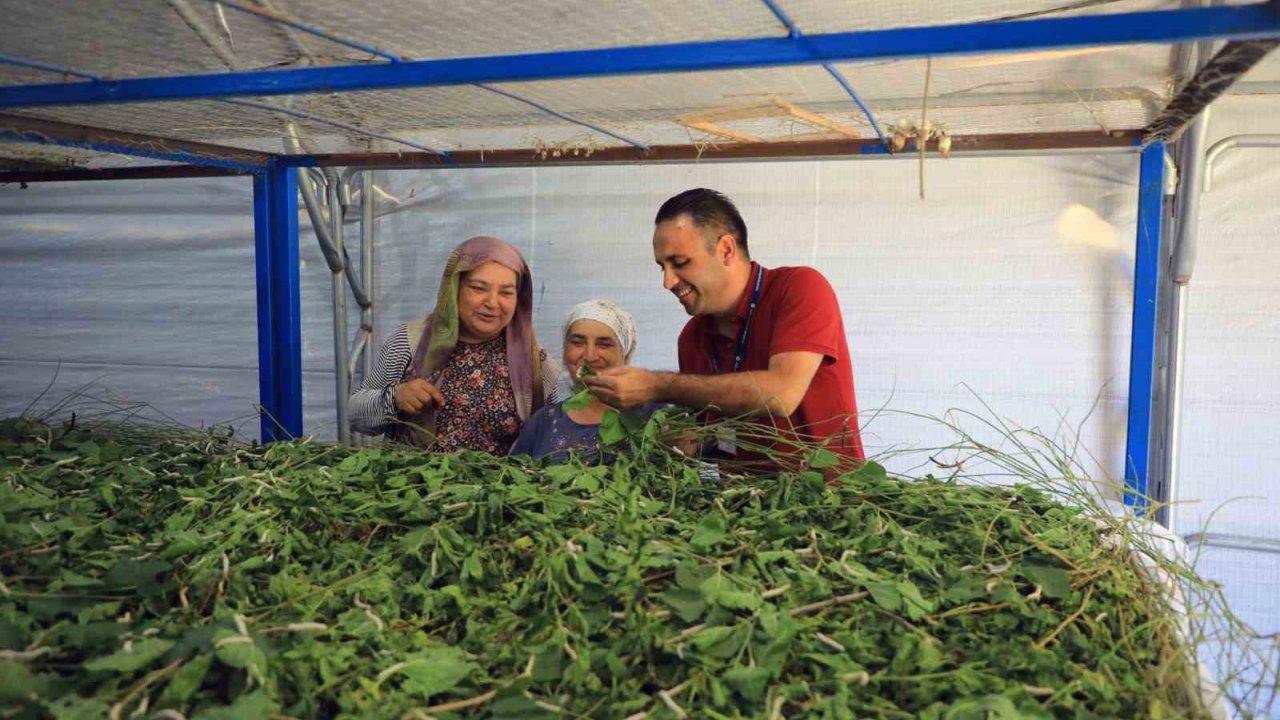 Muğla Büyükşehir’den İpekböcekçiliğine Tam Destek