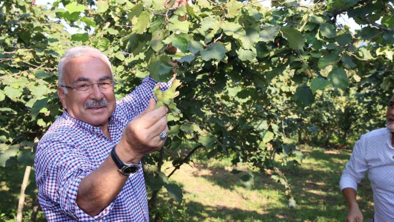 Ferrero’ya ’yasak’ Geldi