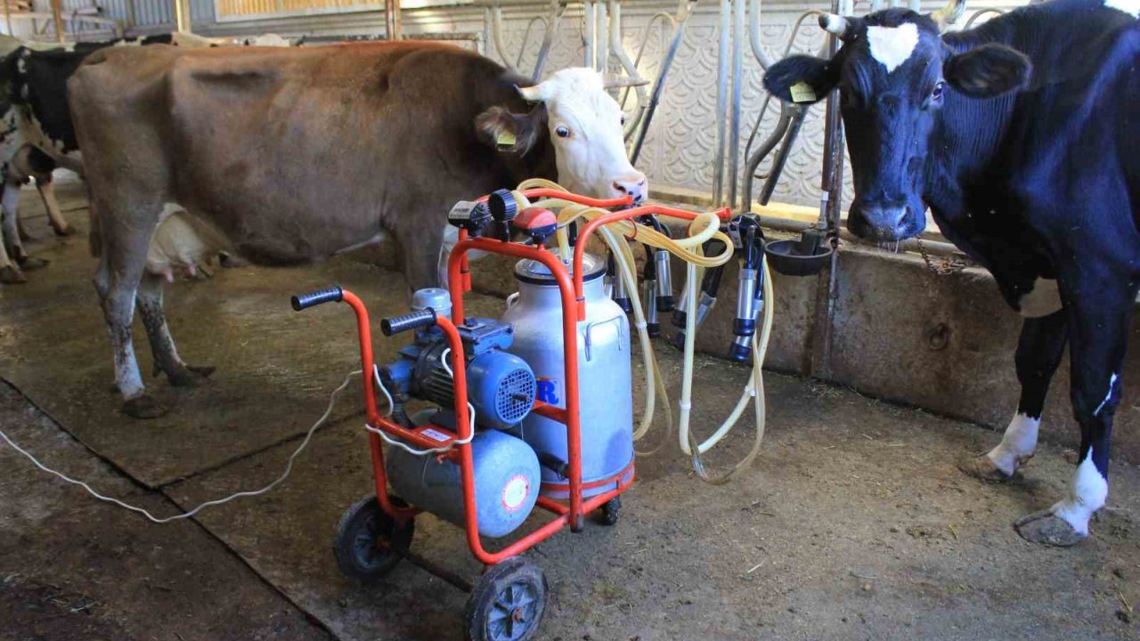 Tüsedad, Sıcak Süt Tavsiye Fiyatının 21 Lira Olmasını İstedi