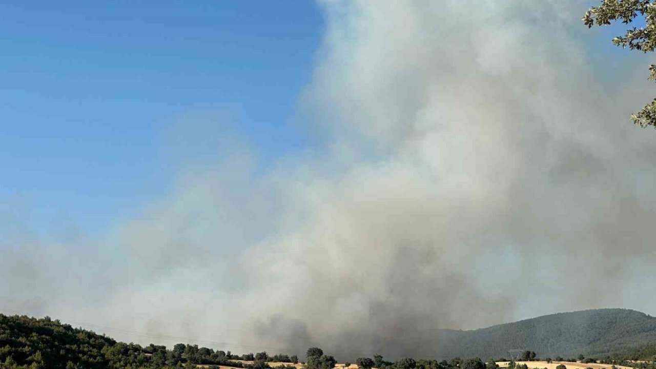 Uşak’ta İki Ayrı Noktada Yangın