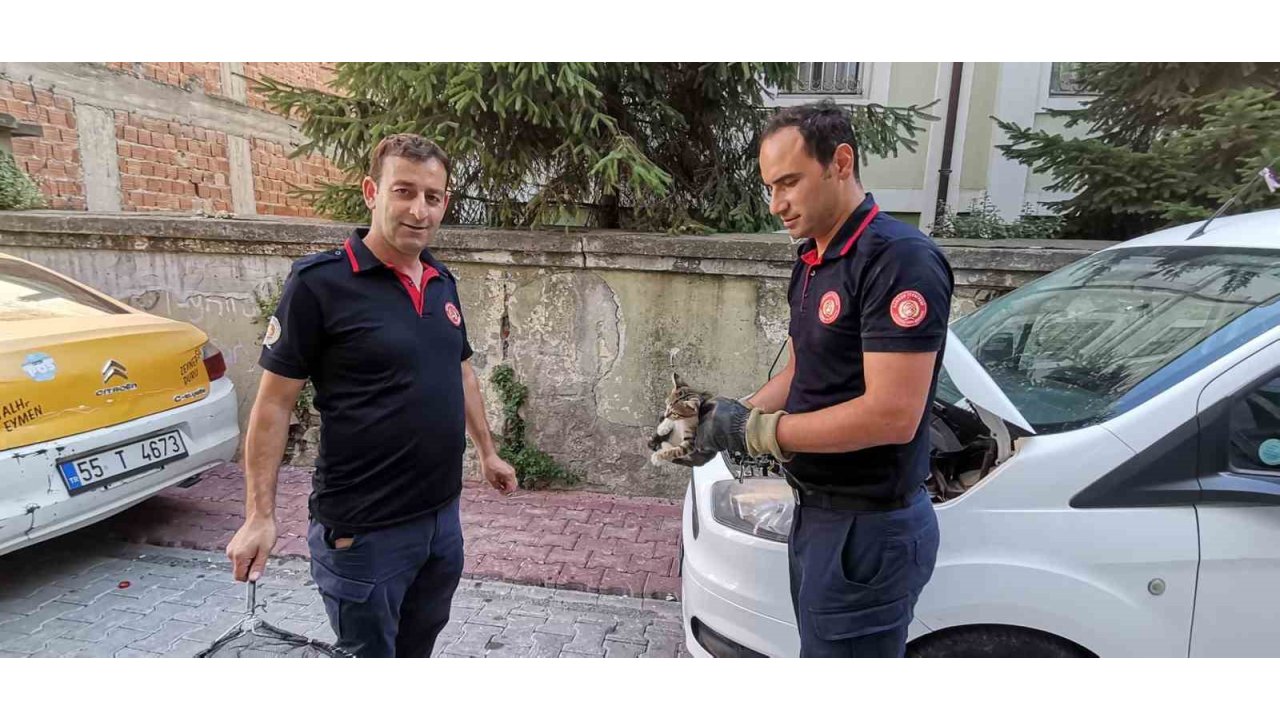 İtfaiye Ekiplerinden Yavru Kedi Kurtarma Operasyonu