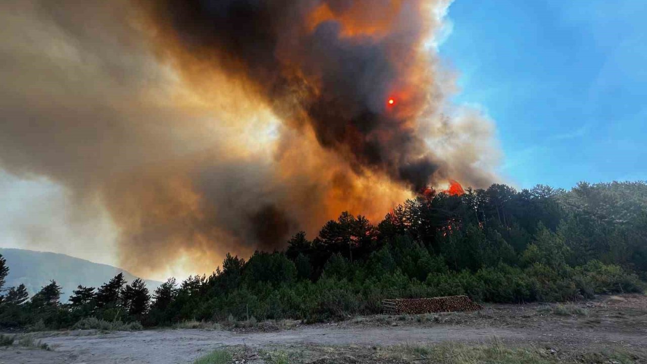 Sındırgı’daki Orman Yangınını Söndürme Çalışmaları Sürüyor
