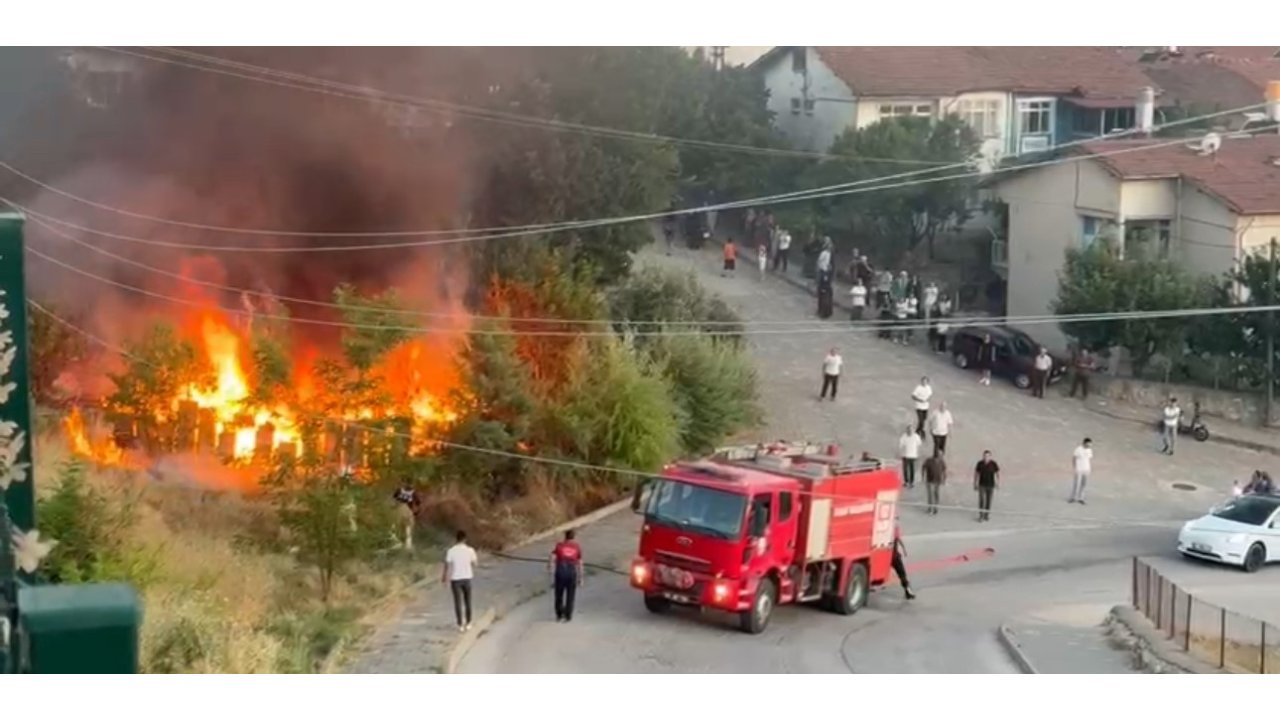 Tokat’ta Arı Kovanları Küle Döndü