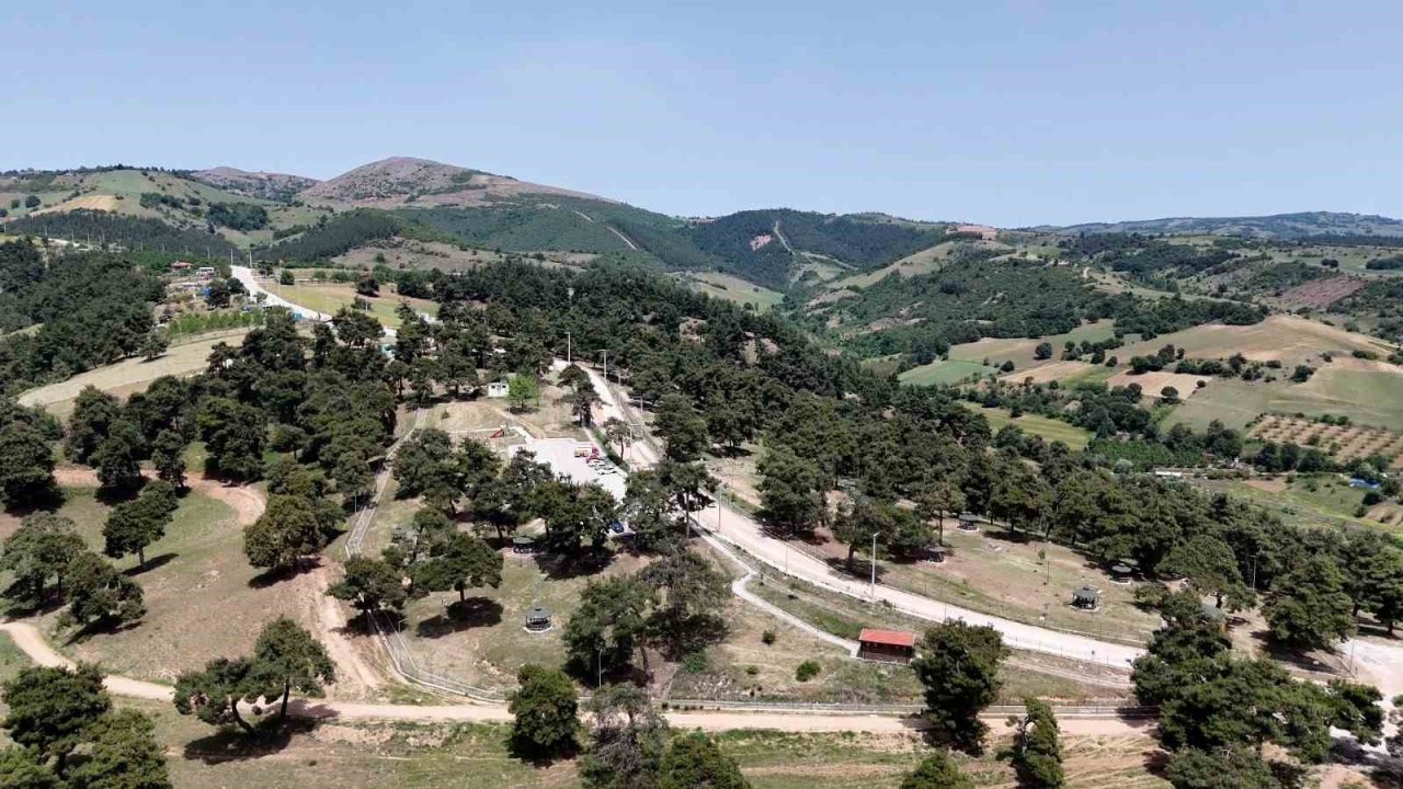 Başkan Ercan Özel: