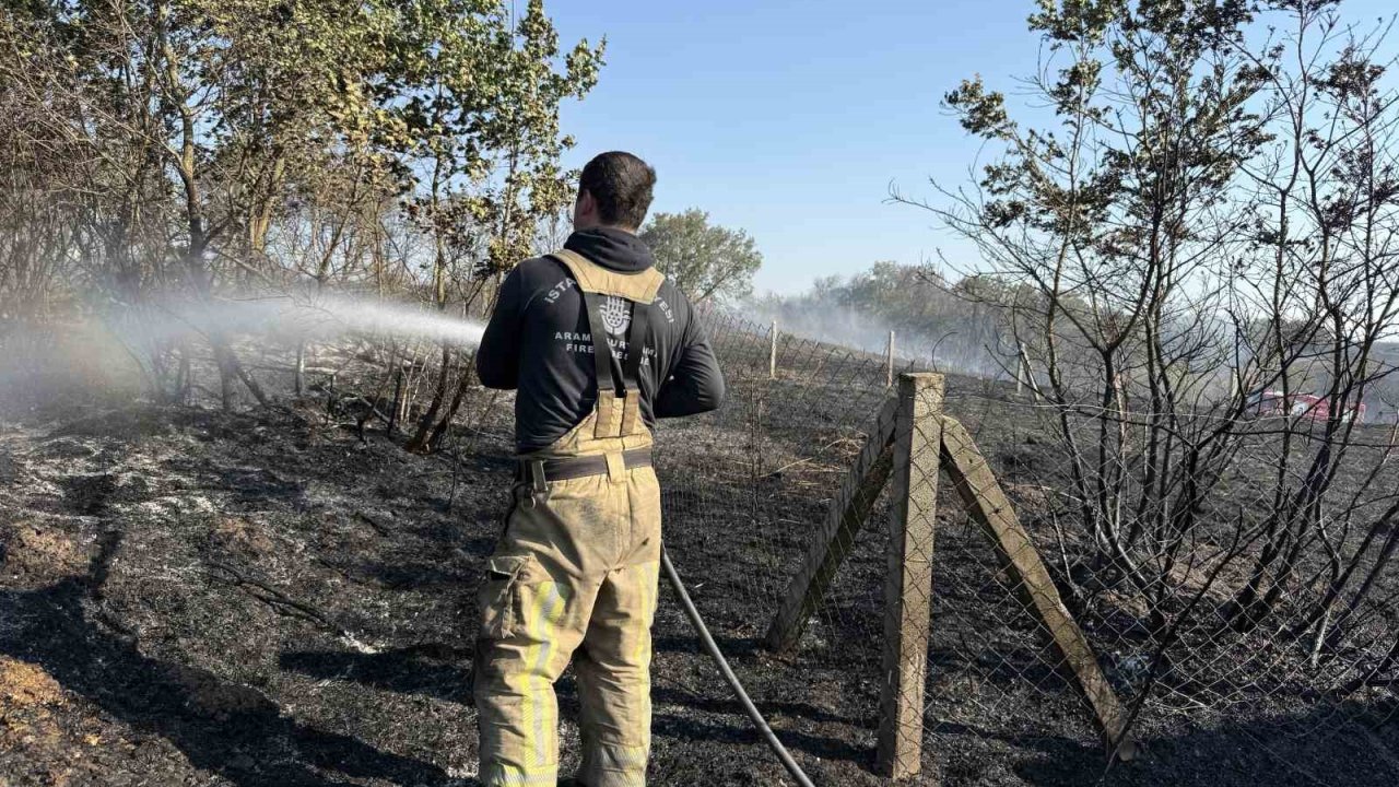 Silivri’de Arazi Yangını: 2 Kişi Yaralandı, İtfaiye Aracı Yandı