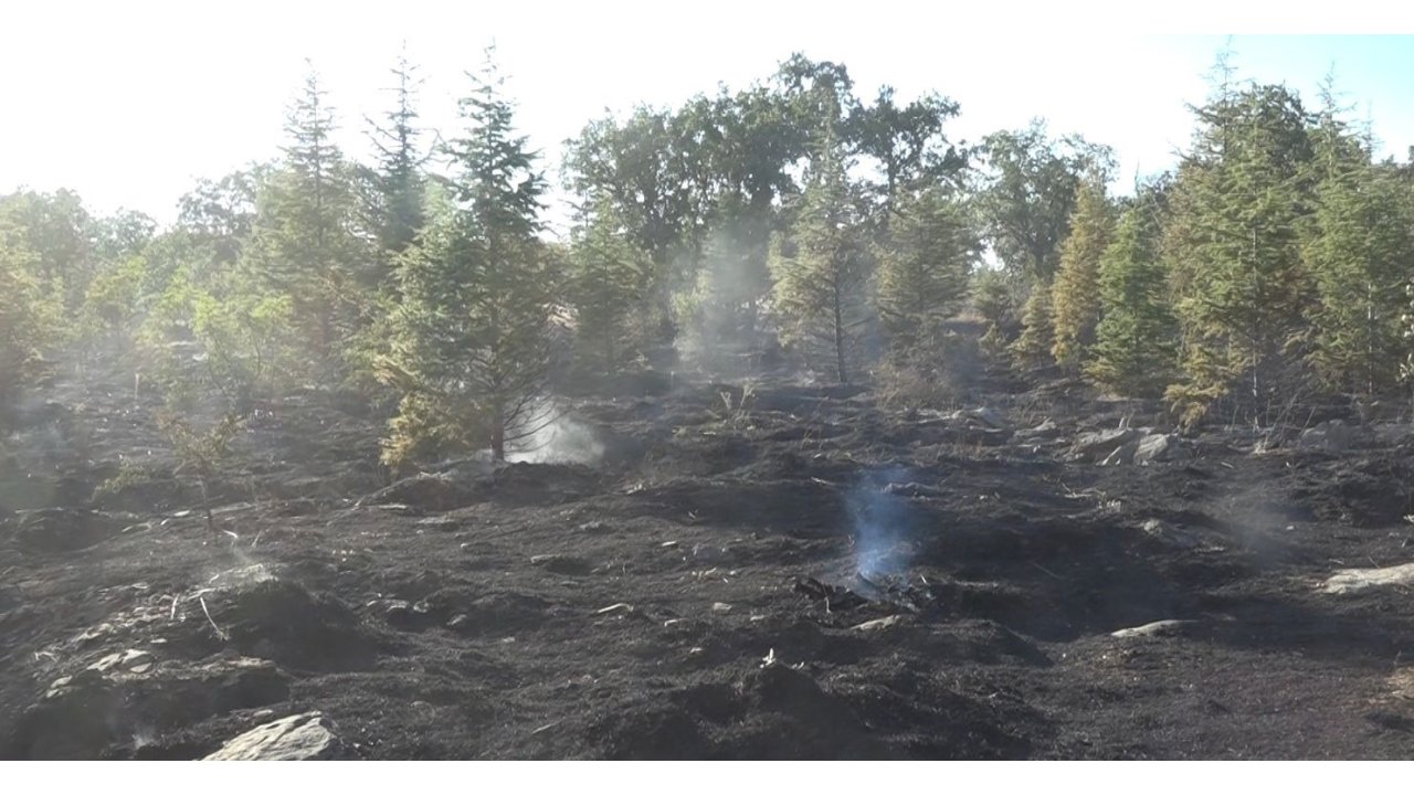 Kırklareli’nin Yündalan Köyündeki Orman Yangını Kontrol Altına Alındı