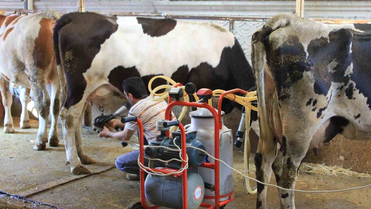 Tüsedad’dan Çiğ Sütte Maliyet Konusunda İş Birliği Çağrısı