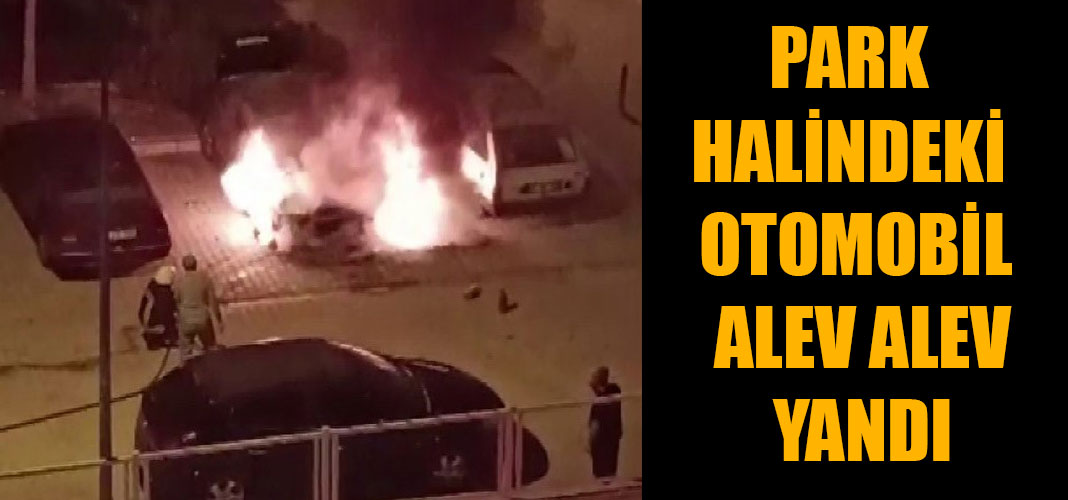 park halindeki otomobil alev alev yandı