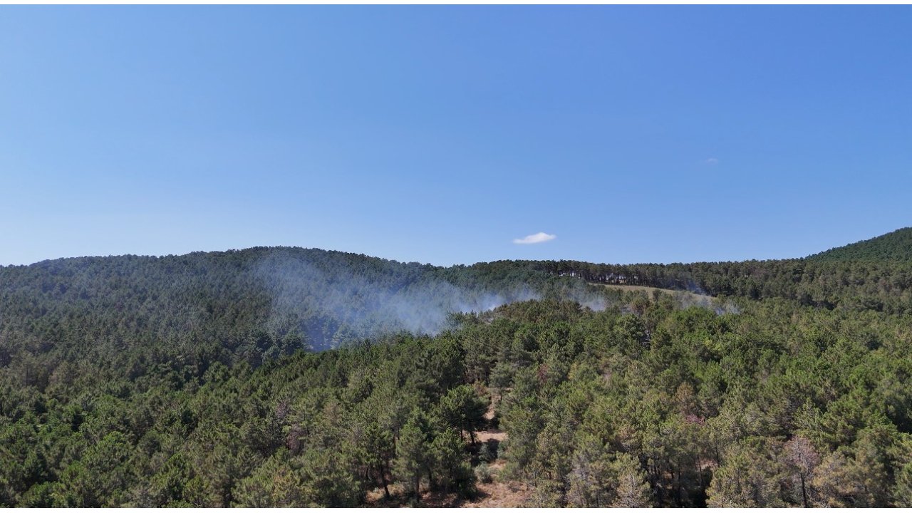 Pendik’te Ormanlık Alanda Çıkan Yangına Müdahale Ediliyor