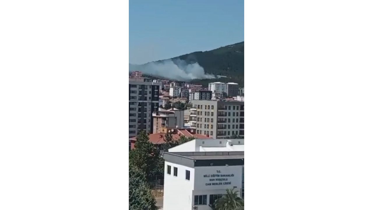 Pendik Aydos Ormanı’nda Yangın Kontrol Altına Alındı