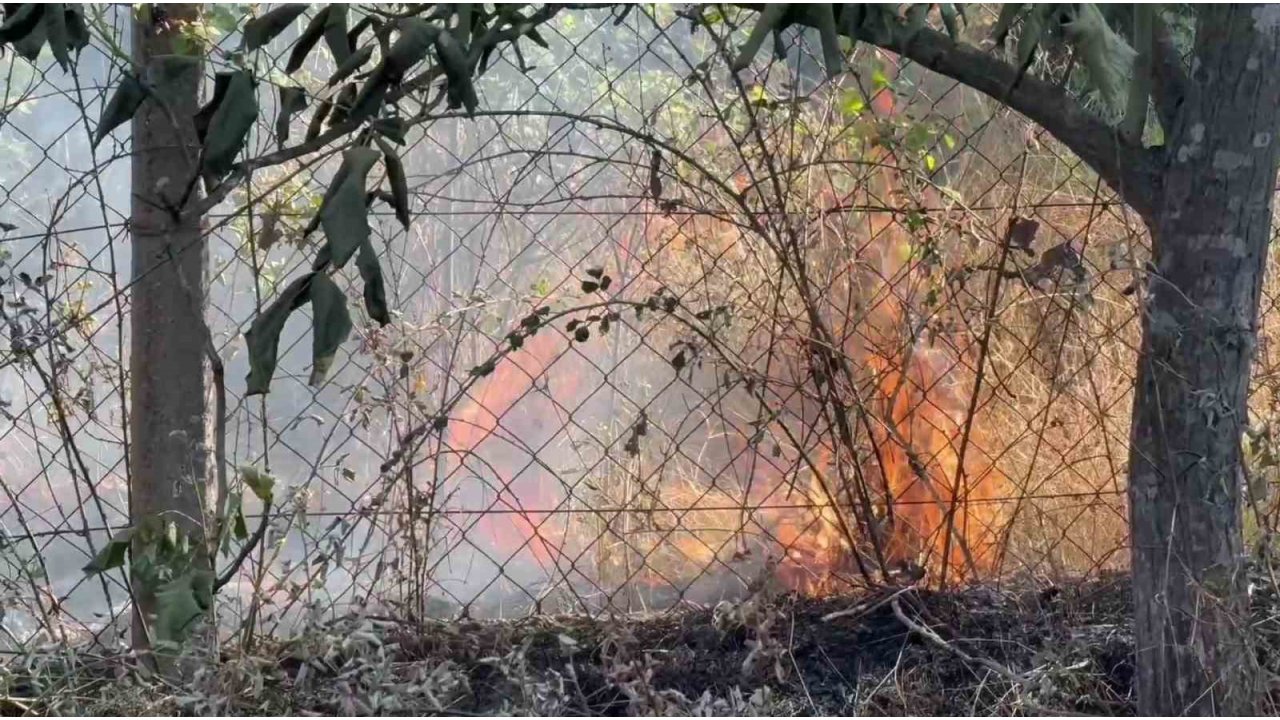 Karabük’te Çıkan Anız Yangınında 25 Dönüm Alan Zarar Gördü