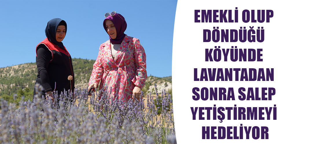 Emekli olup döndüğü köyünde lavantadan sonra salep yetiştirmeyi hedeliyor