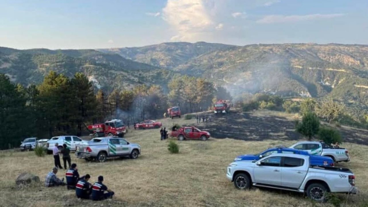 Beypazarı’nda 15 Dönüm Ekili Alan Yandı