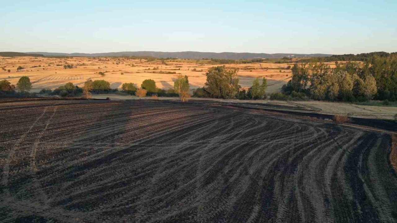Tekirdağ’da 2 Bin 500 Dönüm Ekili Alan Ve 200 Adet Arı Kovanı Yandı