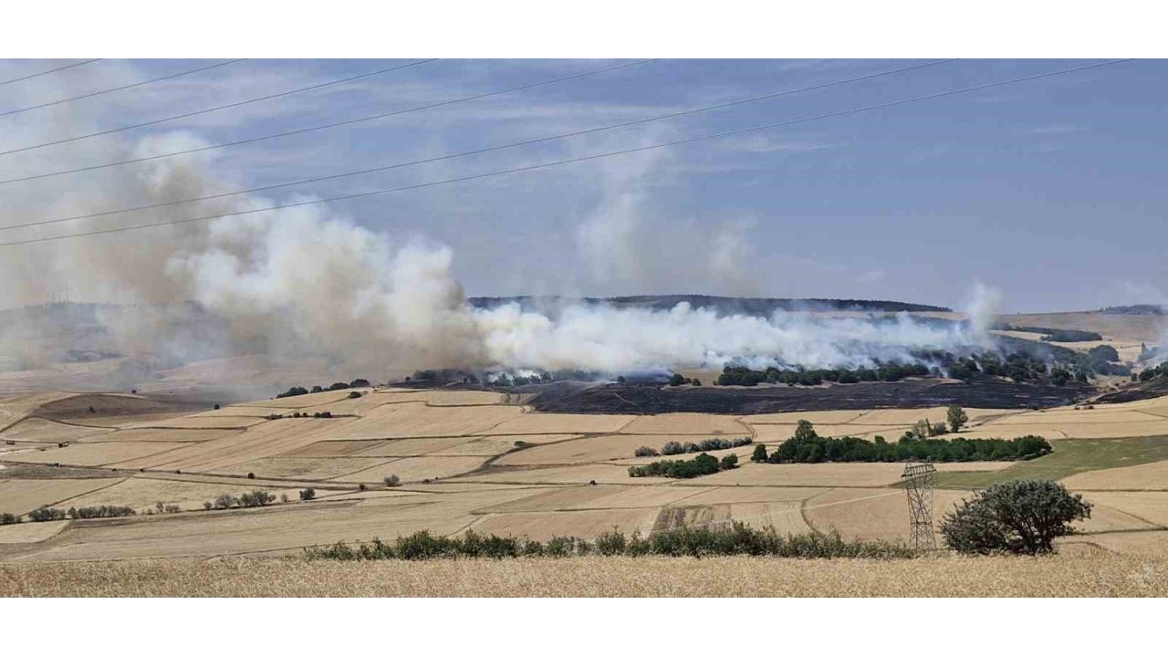 Çorum’da Tarlada Çıkan Yangında 200 Dönüm Ekili Arazi Kül Oldu