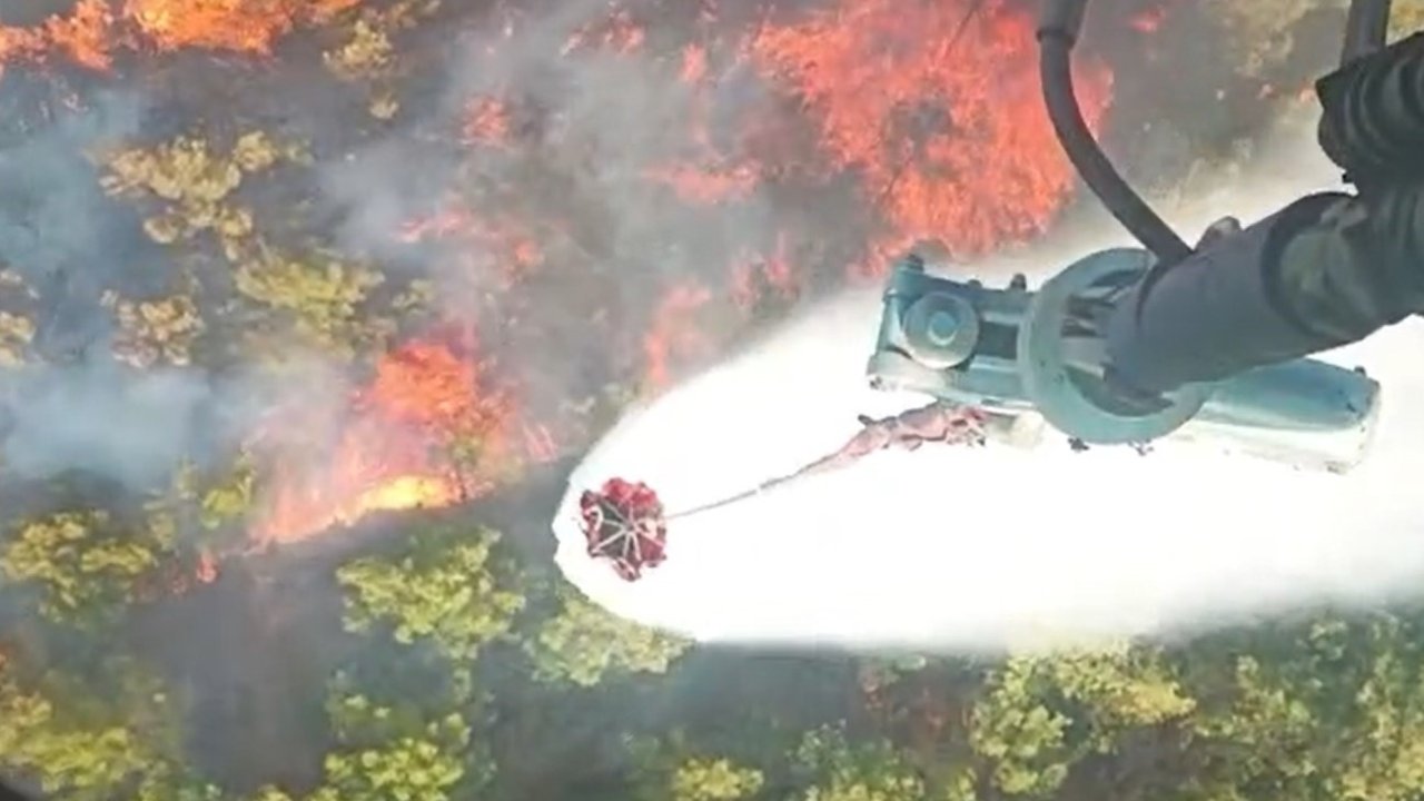 Ziraat Alanında Çıkan Yangın Ormana Sıçradı