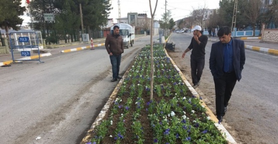 Hani’de yeşillendirme atağı