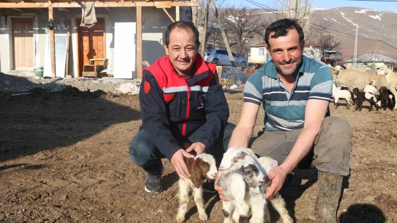 Erzincan’da Koyunculuk Kredisi 1 Milyon 200 Bin Liraya Yükseltildi
