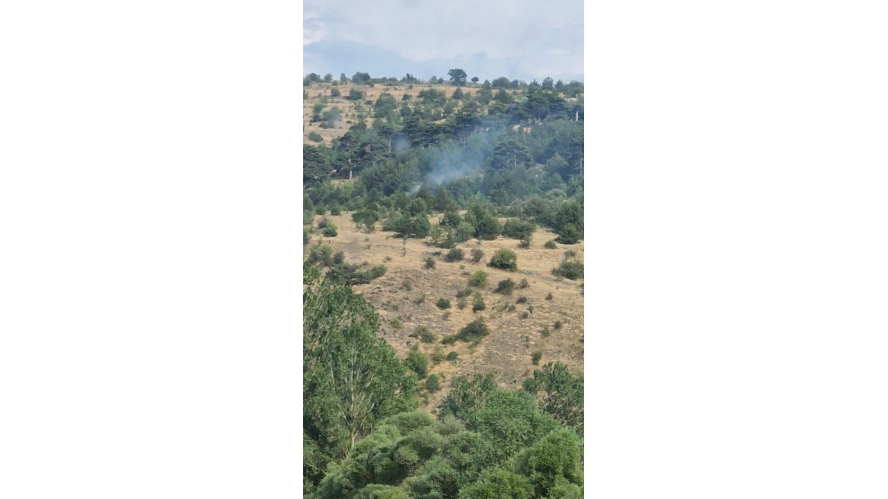 Bolu’da Yıldırım Kaynaklı Çıkan Yangınlar Söndürüldü