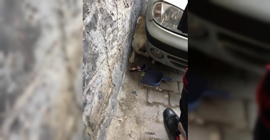 Otomobil ile duvar arasında sıkışan köpek kurtarıldı